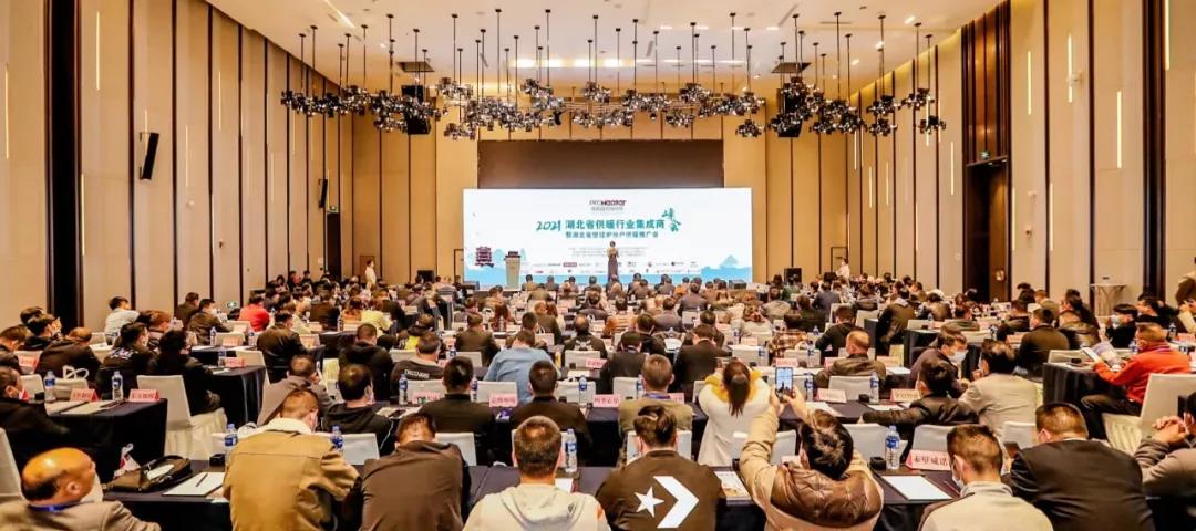 突出孝顺企业！壹定发斩获殊荣！